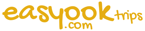 easyook.com